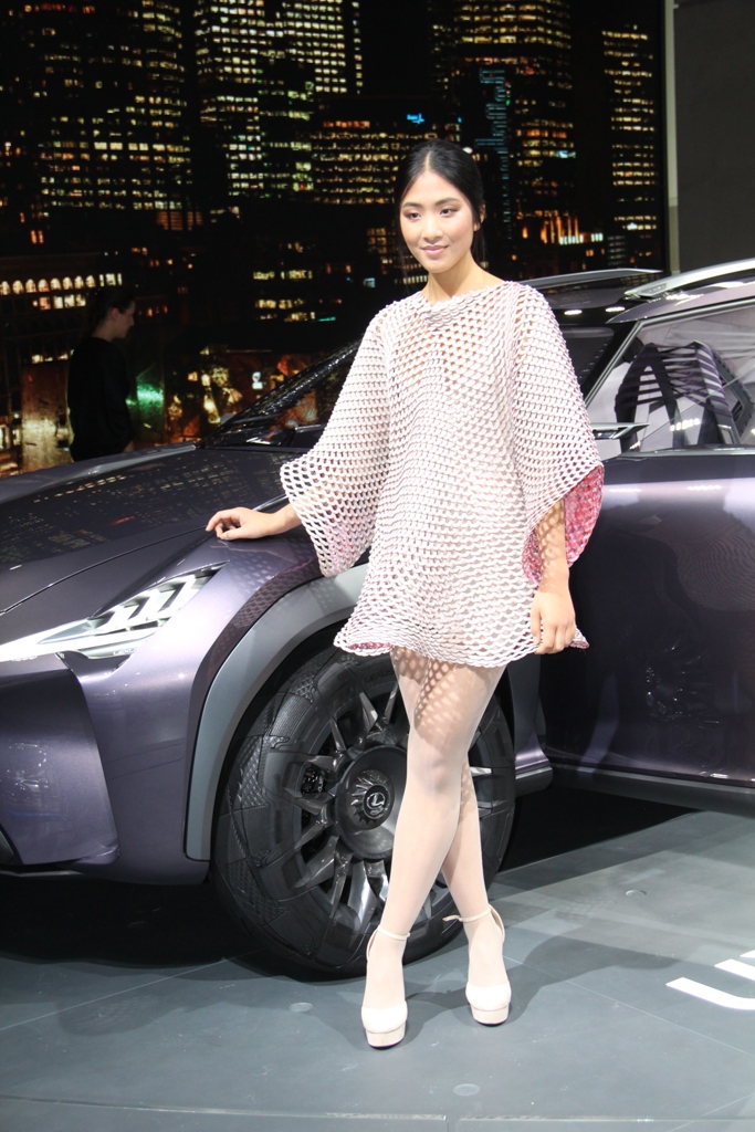 девушки Парижского автосалона 2016