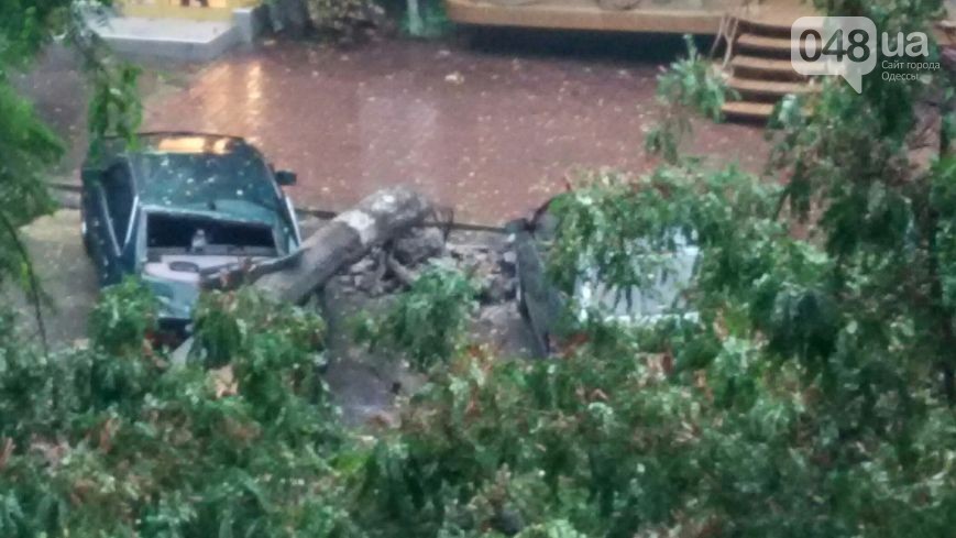 Ураган в Одессе: деревья падают, машина плывут