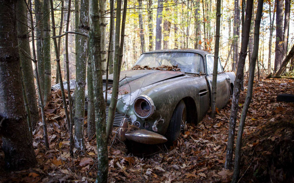 Заброшенное сокровище – редкое купе Aston Martin DB4 найдено в лесу