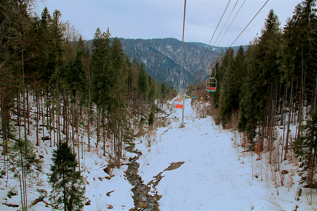 в Карпаты на Peugeot Traveller