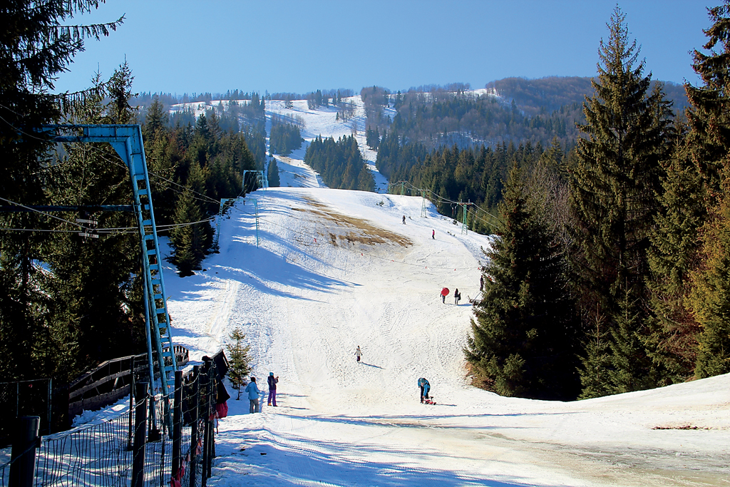 в Карпаты на Peugeot Traveller