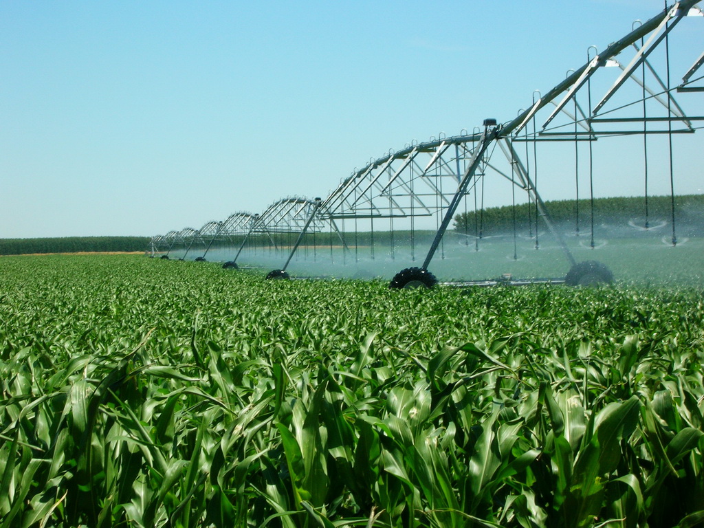 Сельхозпродукция АМАКО