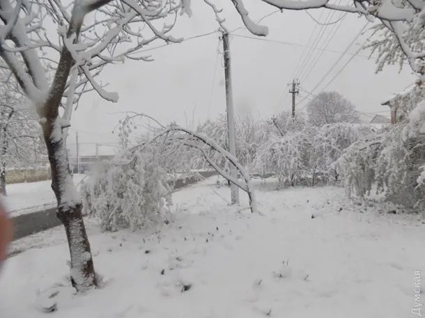 Снегопады в Украине: трасса Киев-Одесса частично перекрыта