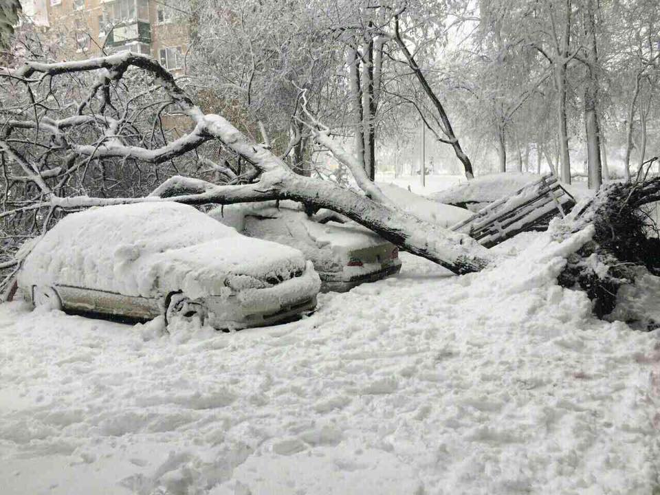 Снегопады в Украине привели к транспортному коллапсу