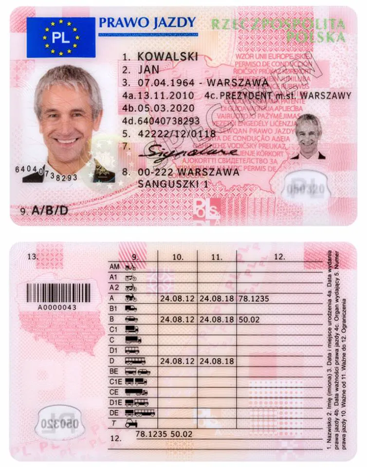 Зачем поляки получают водительские права в Украине