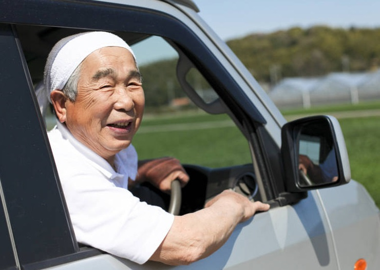 японцы арендую автомобили но не ездят на них