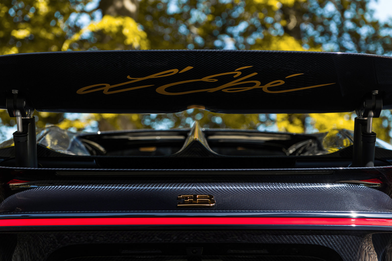 Bugatti Chiron украсили 24-каратным золотом 2
