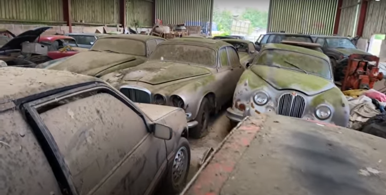 В лесу нашли заброшенную коллекцию автомобилей (видео) - Автоцентр.ua