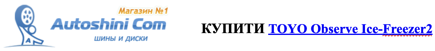 autoshini.com купити toyo observe ice-freezer2
