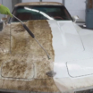 Chevrolet Corvette 1978 року помили вперше майже за 50 років (відео)